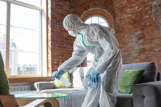  Vla Grove, IL Mold Removal & Remediation Pros